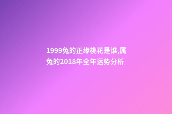 1999兔的正缘桃花是谁,属兔的2018年全年运势分析-第1张-观点-玄机派