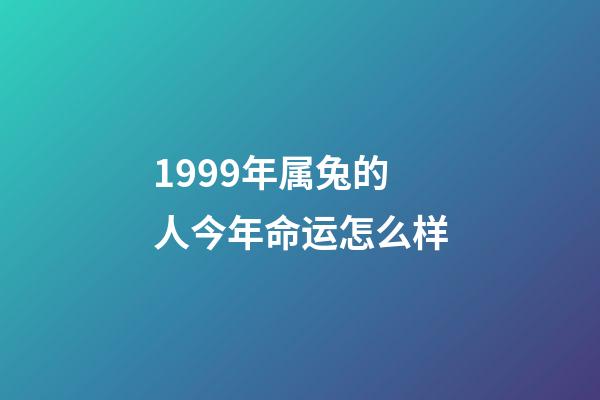 1999年属兔的人今年命运怎么样(「属兔人推荐」兔年出生的人在2018年运程解析)-第1张-观点-玄机派