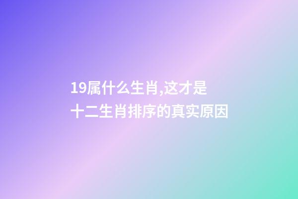 19属什么生肖,这才是十二生肖排序的真实原因-第1张-观点-玄机派