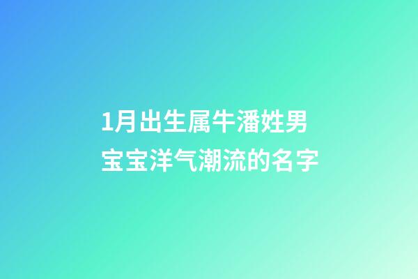 1月出生属牛潘姓男宝宝洋气潮流的名字