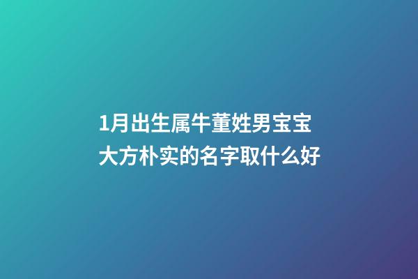 1月出生属牛董姓男宝宝大方朴实的名字取什么好