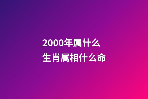 2000年属什么生肖属相什么命(说说十二生肖“马”)-第1张-观点-玄机派