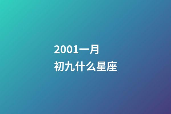 2001一月初九什么星座-第1张-星座运势-玄机派