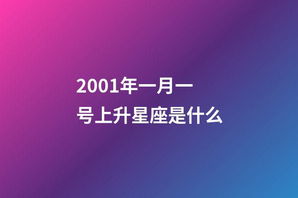 2001年一月一号上升星座是什么-第1张-星座运势-玄机派