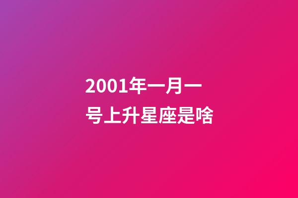 2001年一月一号上升星座是啥-第1张-星座运势-玄机派