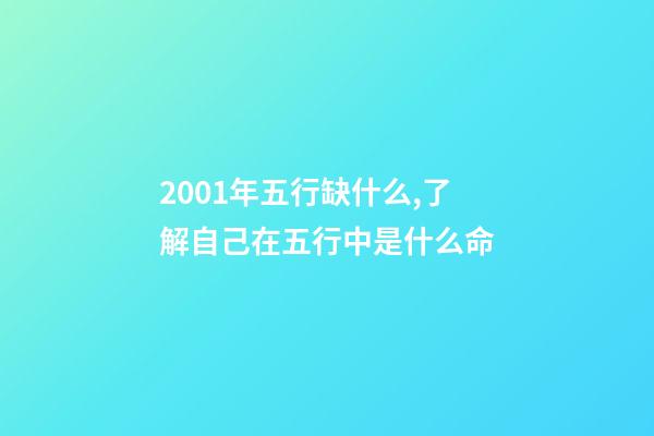 2001年五行缺什么,了解自己在五行中是什么命-第1张-观点-玄机派