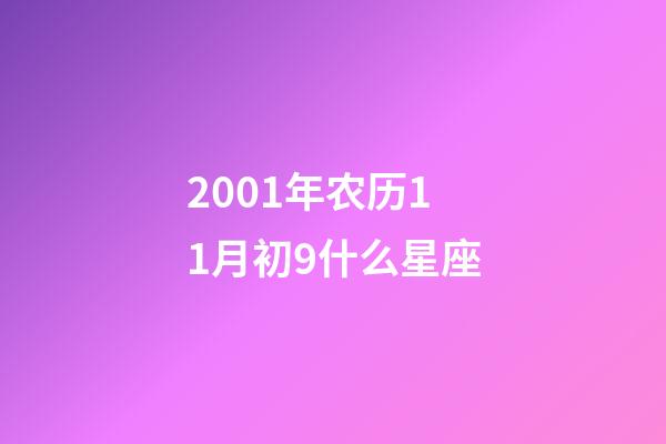 2001年农历11月初9什么星座-第1张-星座运势-玄机派