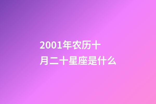 2001年农历十月二十星座是什么-第1张-星座运势-玄机派