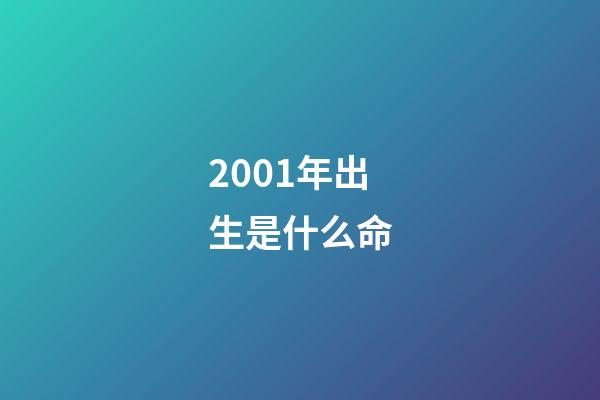 2001年出生是什么命