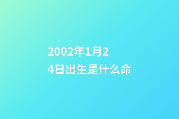 2002年1月24日出生是什么命(50后记忆系列:80年代普通家庭的家用电器及价格)-第1张-观点-玄机派