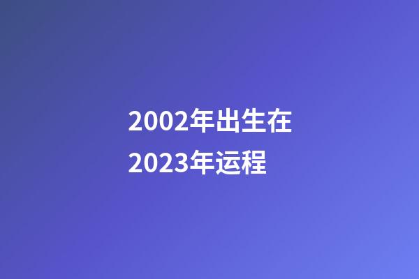 2002年出生在2023年运程