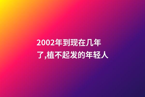 2002年到现在几年了,植不起发的年轻人-第1张-观点-玄机派