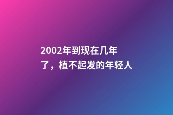 2002年到现在几年了，植不起发的年轻人-第1张-观点-玄机派