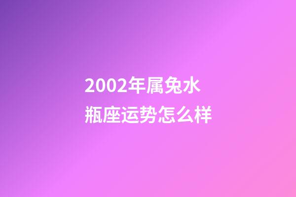 2002年属兔水瓶座运势怎么样-第1张-星座运势-玄机派