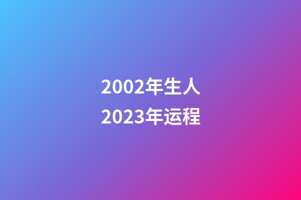 2002年生人2023年运程