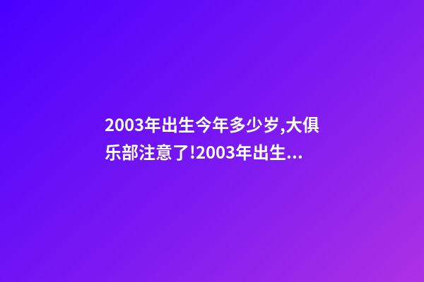 2003年出生今年多少岁,大俱乐部注意了!2003年出生的“丹麦哈兰德是谁-第1张-观点-玄机派