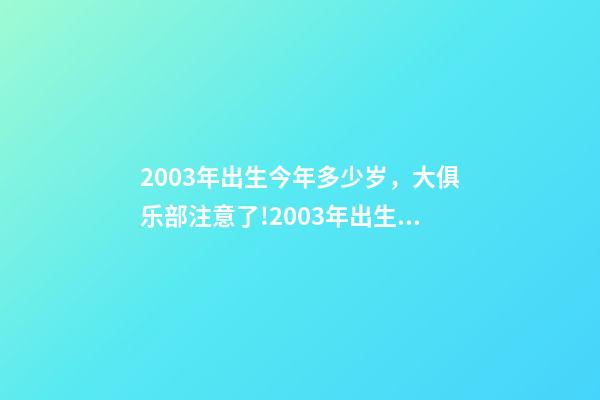2003年出生今年多少岁，大俱乐部注意了!2003年出生的“丹麦哈兰德是谁-第1张-观点-玄机派