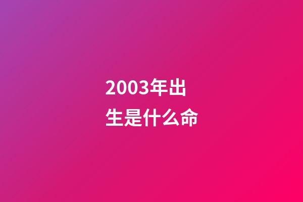 2003年出生是什么命
