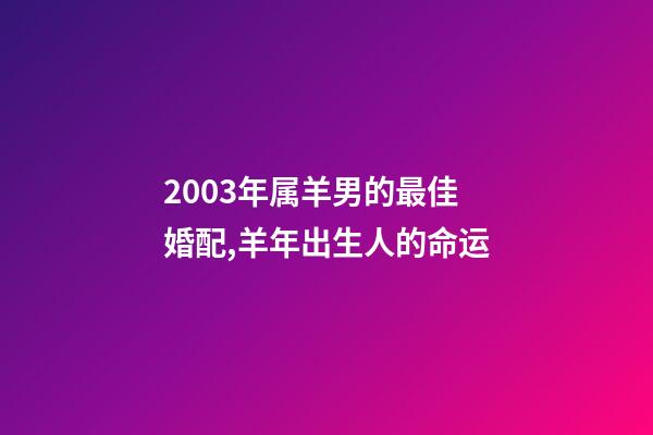 2003年属羊男的最佳婚配,羊年出生人的命运-第1张-观点-玄机派