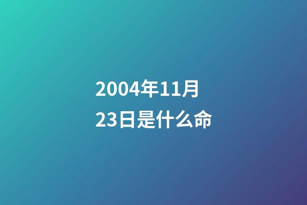 2004年11月23日是什么命(vivo X90 系列正式发布 售价3699元起)