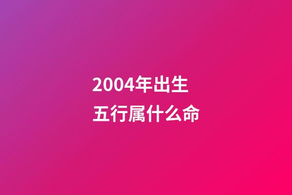 2004年出生五行属什么命(五行缺金地)-第1张-观点-玄机派