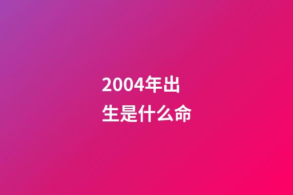 2004年出生是什么命
