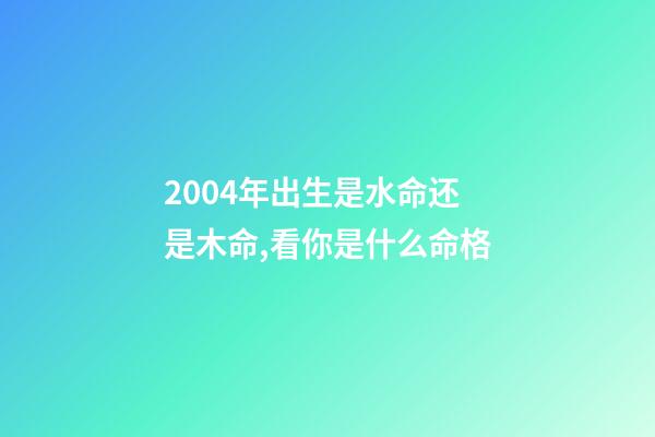 2004年出生是水命还是木命,看你是什么命格-第1张-观点-玄机派