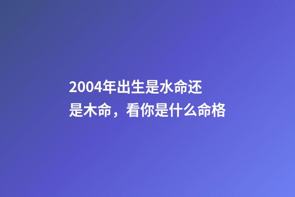 2004年出生是水命还是木命，看你是什么命格-第1张-观点-玄机派