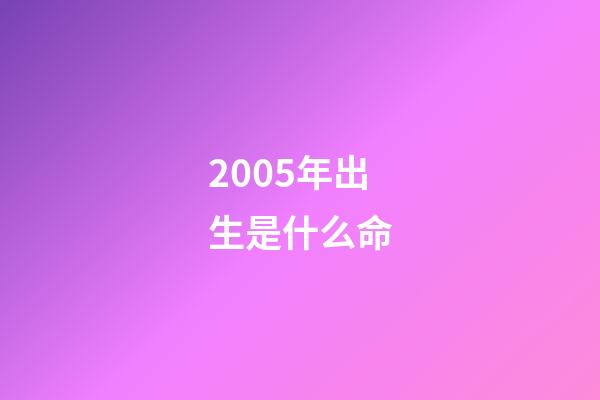 2005年出生是什么命