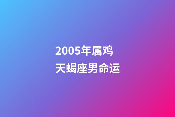 2005年属鸡天蝎座男命运-第1张-星座运势-玄机派