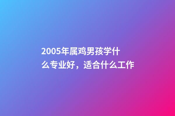 2005年属鸡男孩学什么专业好，适合什么工作