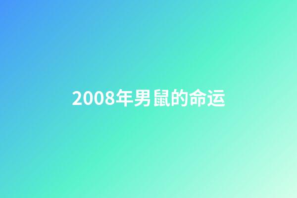 2008年男鼠的命运(生肖属鼠人2020年整体运势及运程)-第1张-观点-玄机派
