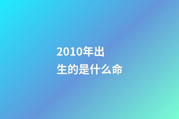 2010年出生的是什么命