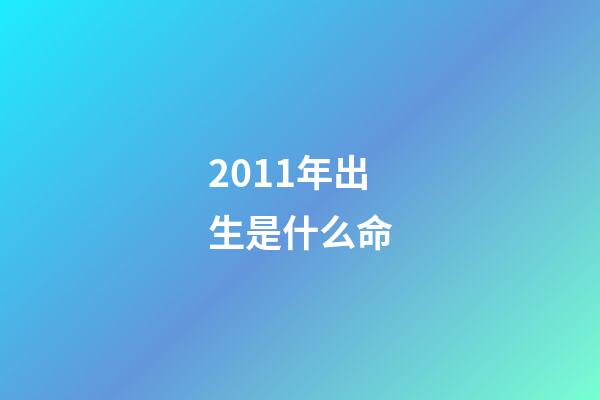 2011年出生是什么命