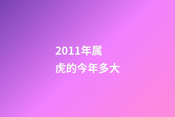 2011年属虎的今年多大