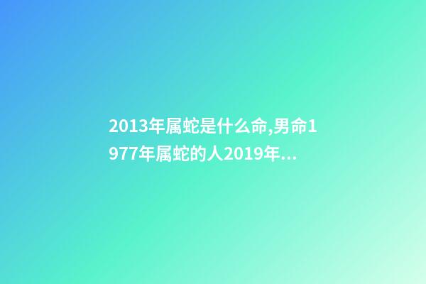 2013年属蛇是什么命,男命1977年属蛇的人2019年运程-第1张-观点-玄机派
