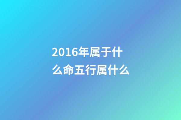 2016年属于什么命五行属什么(猴年必定升官又发财的4大生肖)-第1张-观点-玄机派
