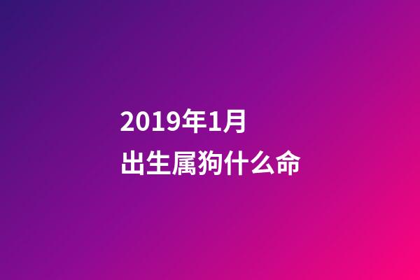 2019年1月出生属狗什么命(进入2018年属狗之人每个月的运势解析!值得你收藏!)-第1张-观点-玄机派