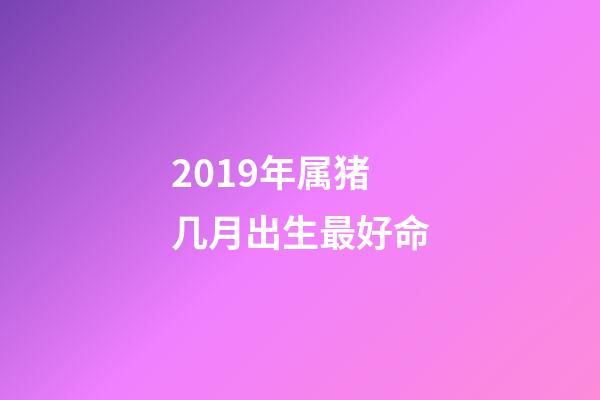 2019年属猪几月出生最好命(2019年是什么猪年 好运来了)-第1张-观点-玄机派