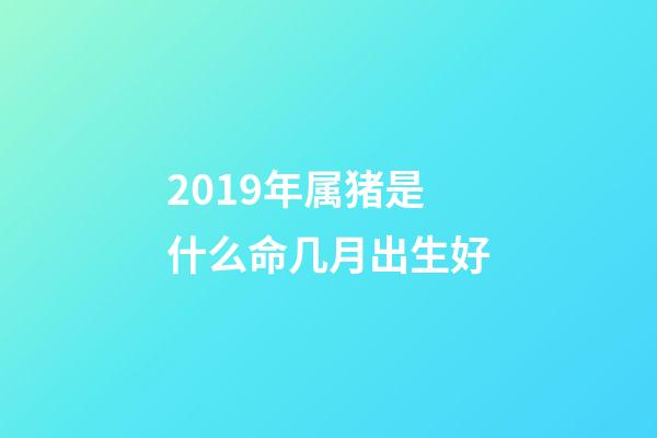 2019年属猪是什么命几月出生好(2019年5月份哪一天出生最好)-第1张-观点-玄机派