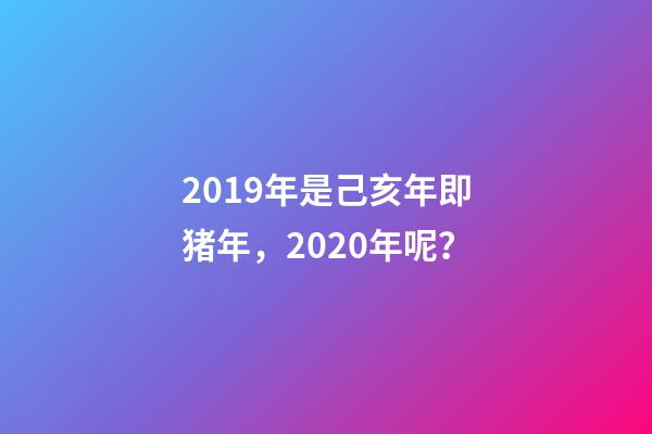 2019年是己亥年即猪年，2020年呢？-第1张-观点-玄机派