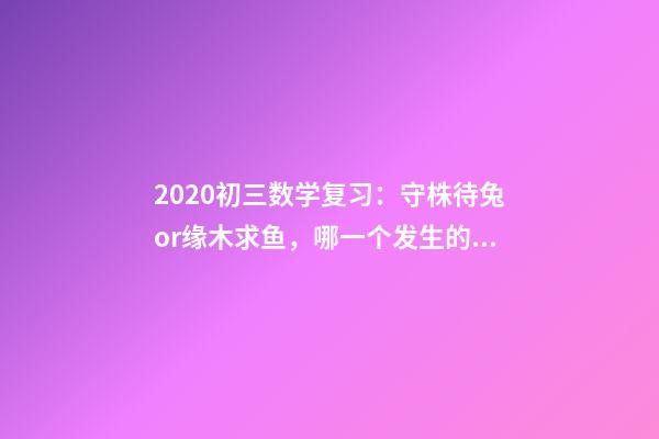2020初三数学复习：守株待兔or缘木求鱼，哪一个发生的可能性更大-第1张-观点-玄机派