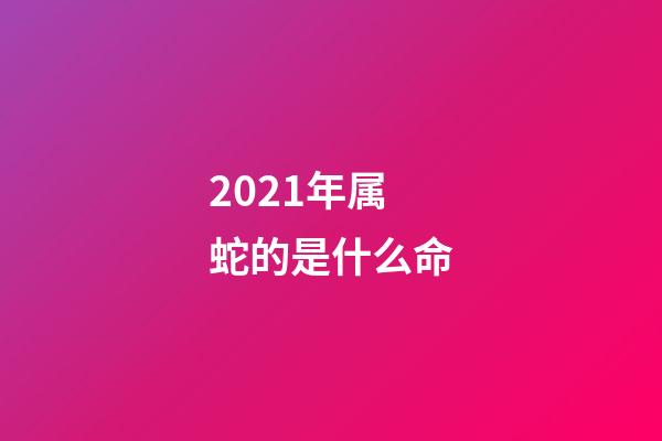 2021年属蛇的是什么命(2021年为什么是辛丑牛年？秒懂)-第1张-观点-玄机派