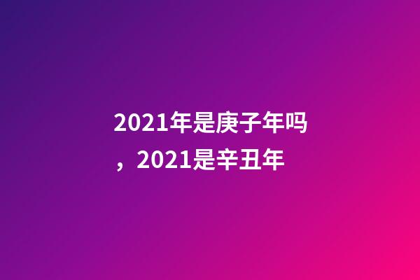 2021年是庚子年吗，2021是辛丑年-第1张-观点-玄机派
