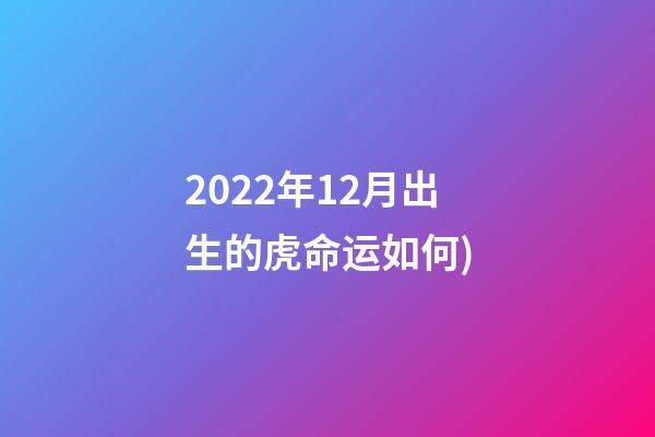 2022年12月出生的虎命运如何(十二月 你好——爱满家书(314))-第1张-观点-玄机派