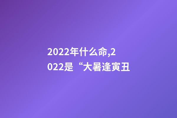 2022年什么命,2022是“大暑逢寅丑-第1张-观点-玄机派