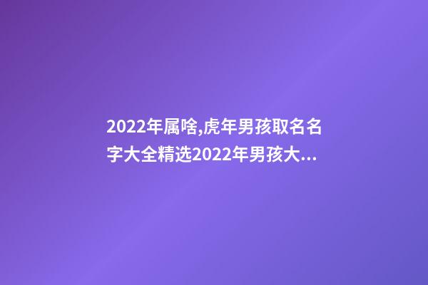 2022年属啥,虎年男孩取名名字大全精选2022年男孩大气自信的名字-第1张-观点-玄机派