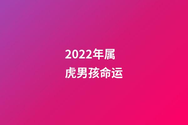 2022年属虎男孩命运(虎年宝宝起名大全男孩：精选2022年男孩有诗意有志向的名字)-第1张-观点-玄机派