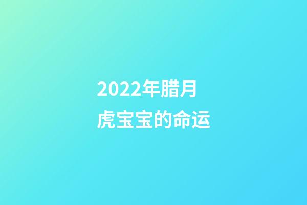 2022年腊月虎宝宝的命运(2022年十二月份：白羊座十二月整体运势，好事发生以及注意事项)-第1张-观点-玄机派