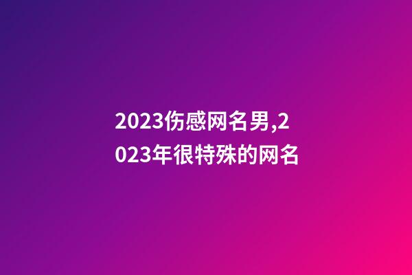 2023伤感网名男,2023年很特殊的网名-第1张-观点-玄机派